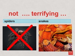 not …. terrifying …
spiders snakes
 