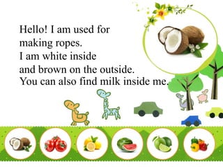 Hello! I am used for
making ropes.
I am white inside
and brown on the outside.
You can also find milk inside me.
 