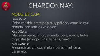 NOTAS DE CATA:
Fase Visual:
Color variable entre paja muy pálido y amarillo casi
dorado, con reflejos verdosos.
Fase Olfativa:
Manzana verde, limón, pomelo, pera, acacia, frutas
tropicales (mango, piña, banana, melón) .
Fase Gustativa:
A manzanas, cítricos, melón, peras, miel, cera,
caramelo.
 