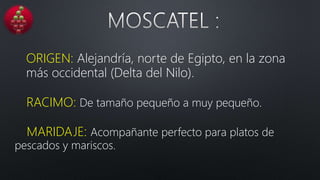 ORIGEN: Alejandría, norte de Egipto, en la zona
más occidental (Delta del Nilo).
RACIMO: De tamaño pequeño a muy pequeño.
MARIDAJE: Acompañante perfecto para platos de
pescados y mariscos.
 