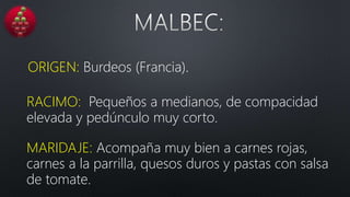 ORIGEN: Burdeos (Francia).
RACIMO: Pequeños a medianos, de compacidad
elevada y pedúnculo muy corto.
MARIDAJE: Acompaña muy bien a carnes rojas,
carnes a la parrilla, quesos duros y pastas con salsa
de tomate.
 
