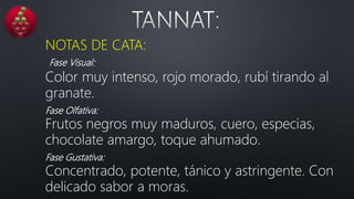 NOTAS DE CATA:
Fase Visual:
Color muy intenso, rojo morado, rubí tirando al
granate.
Fase Olfativa:
Frutos negros muy maduros, cuero, especias,
chocolate amargo, toque ahumado.
Fase Gustativa:
Concentrado, potente, tánico y astringente. Con
delicado sabor a moras.
 