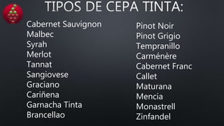 Cabernet Sauvignon
Malbec
Syrah
Merlot
Tannat
Sangiovese
Graciano
Cariñena
Garnacha Tinta
Brancellao
Pinot Noir
Pinot Grigio
Tempranillo
Carménère
Cabernet Franc
Callet
Maturana
Mencia
Monastrell
Zinfandel
 