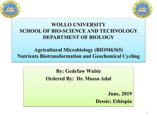 WOLLO UNIVERSITY
SCHOOL OF BIO-SCIENCE AND TECHNOLOGY
DEPARTMENT OF BIOLOGY
Agricultural Microbiology (BIOM6365)
Nutrients Biotransformation and Geochemical Cycling
By: Gedefaw Wubie
Ordered By: Dr. Mussa Adal
June, 2019
Dessie; Ethiopia
1
 