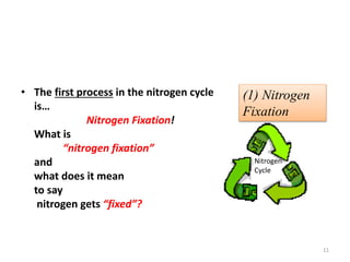 • The first process in the nitrogen cycle
is…
Nitrogen Fixation!
What is
“nitrogen fixation”
and
what does it mean
to say
nitrogen gets “fixed”?
11
Nitrogen
Cycle
(1) Nitrogen
Fixation
 