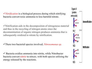 Nitrification is a biological process during which nitrifying
bacteria convert toxic ammonia to less harmful nitrate.
Nitrification aids in the decomposition of nitrogenous material
and thus in the recycling of nitrogen atoms since the
decontamination of organic nitrogen produces ammonia that is
subsequently oxidized to nitrate by nitrification.
There two bacterial species involved. Nitrosomonas sp.
 Bacteria oxidize ammonia into nitrite, while Nitrobacter
bacteria convert nitrite to nitrate, with both species utilizing the
energy released by the reactions.
 
