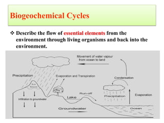 Biogeochemical Cycles
 Describe the flow of essential elements from the
environment through living organisms and back into the
environment.
4
 