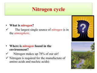 Nitrogen cycle
• What is nitrogen?
 The largest single source of nitrogen is in
the atmosphere.
• Where is nitrogen found in the
environment?
 Nitrogen makes up 78% of our air!
 Nitrogen is required for the manufacture of
amino acids and nucleic acids)
5
 