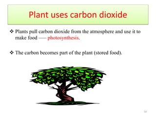 Plant uses carbon dioxide
 Plants pull carbon dioxide from the atmosphere and use it to
make food –— photosynthesis.
 The carbon becomes part of the plant (stored food).
54
 