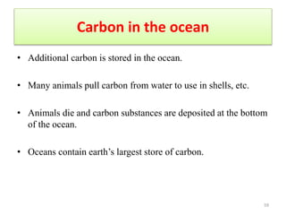 Carbon in the ocean
• Additional carbon is stored in the ocean.
• Many animals pull carbon from water to use in shells, etc.
• Animals die and carbon substances are deposited at the bottom
of the ocean.
• Oceans contain earth’s largest store of carbon.
59
 