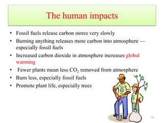 The human impacts
• Fossil fuels release carbon stores very slowly
• Burning anything releases more carbon into atmosphere —
especially fossil fuels
• Increased carbon dioxide in atmosphere increases global
warming
• Fewer plants mean less CO2 removed from atmosphere
• Burn less, especially fossil fuels
• Promote plant life, especially trees
62
 