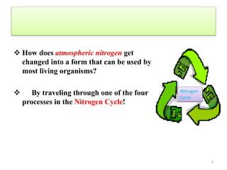  How does atmospheric nitrogen get
changed into a form that can be used by
most living organisms?
 By traveling through one of the four
processes in the Nitrogen Cycle!
9
Nitrogen
Cycle
 