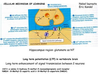 8. nervous system | PDF