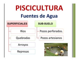 SUPERFICIALES
Ríos
Quebradas
Arroyos
Represas
SUB-SUELO
Pozos perforados.
Pozos artesianos
Fuentes de Agua
 
