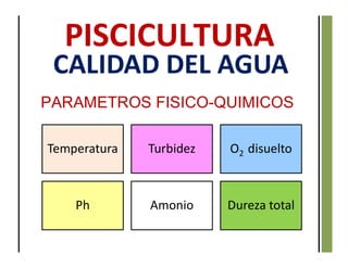 PARAMETROS FISICO-QUIMICOS
Temperatura Turbidez O2 disuelto
Ph Amonio Dureza total
CALIDAD DEL AGUA
 