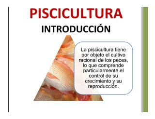 La piscicultura tiene
por objeto el cultivo
racional de los peces,
lo que comprende
particularmente el
control de su
crecimiento y su
reproducción.
INTRODUCCIÓN
 