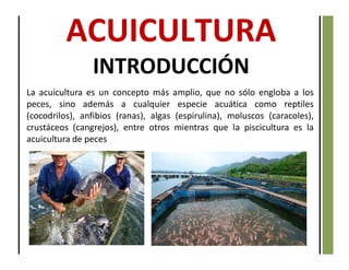 La acuicultura es un concepto más amplio, que no sólo engloba a los
peces, sino además a cualquier especie acuática como reptiles
(cocodrilos), anfibios (ranas), algas (espirulina), moluscos (caracoles),
crustáceos (cangrejos), entre otros mientras que la piscicultura es la
acuicultura de peces
INTRODUCCIÓN
 