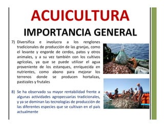 7) Diversifica e involucra a los renglones
tradicionales de producción de las granjas, como
el levante y engorde de cerdos, patos y otros
animales, y a su vez también con los cultivos
agrícolas, ya que se puede utilizar el agua
proveniente de los estanques, enriquecida en
nutrientes, como abono para mejorar los
terrenos donde se producen hortalizas,
pastizales y frutales
8) Se ha observado su mayor rentabilidad frente a
algunas actividades agropecuarias tradicionales,
y ya se dominan las tecnologías de producción de
las diferentes especies que se cultivan en el país
actualmente
IMPORTANCIA GENERAL
 
