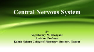 Central Nervous System
By
Yogeshwary M. Bhongade
Assistant Professor
Kamla Neharu College of Pharmacy, Butibori, Nagpur
 