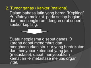 2. Tumor ganas / kanker (maligna)
Dalam bahasa latin yang berari ”Kepiting”
 sifatnya melekat pada setiap bagian
dan mencengkeram dengan erat seperti
seekor kepiting.
Suatu neoplasma disebut ganas 
karena dapat menembus dan
menghancurkan struktur yang berdekatan
dan menyebar ketempat yang jauh
(metastase), dapat menyebabkan
kematian  metastase meluas organ
vital.
 