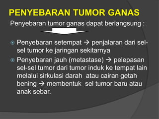 PENYEBARAN TUMOR GANAS
Penyebaran tumor ganas dapat berlangsung :
 Penyebaran setempat  penjalaran dari sel-
sel tumor ke jaringan sekitarnya
 Penyebaran jauh (metastase)  pelepasan
sel-sel tumor dari tumor induk ke tempat lain
melalui sirkulasi darah atau cairan getah
bening  membentuk sel tumor baru atau
anak sebar.
 