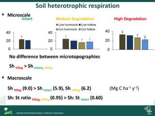 Degradation of palm swamp peatlands in the Peruvian Amazon severely raises emissions of greenhouse gases