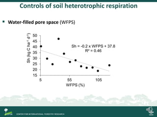 Degradation of palm swamp peatlands in the Peruvian Amazon severely raises emissions of greenhouse gases