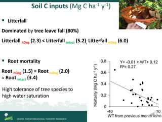 Degradation of palm swamp peatlands in the Peruvian Amazon severely raises emissions of greenhouse gases