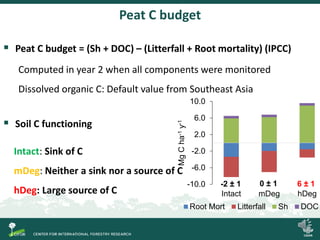 Degradation of palm swamp peatlands in the Peruvian Amazon severely raises emissions of greenhouse gases