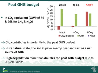 Degradation of palm swamp peatlands in the Peruvian Amazon severely raises emissions of greenhouse gases