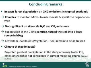 Degradation of palm swamp peatlands in the Peruvian Amazon severely raises emissions of greenhouse gases