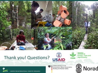 Degradation of palm swamp peatlands in the Peruvian Amazon severely raises emissions of greenhouse gases