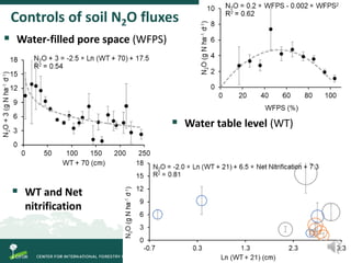 Degradation of palm swamp peatlands in the Peruvian Amazon severely raises emissions of greenhouse gases