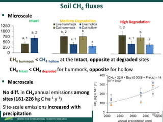 Degradation of palm swamp peatlands in the Peruvian Amazon severely raises emissions of greenhouse gases