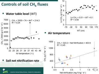 Degradation of palm swamp peatlands in the Peruvian Amazon severely raises emissions of greenhouse gases