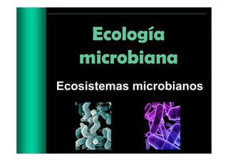 Ecología
microbiana
Ecosistemas microbianos
 