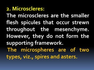 2. Microscleres:
The microscleres are the smaller
flesh spicules that occur strewn
throughout the mesenchyme.
However, they do not form the
supporting framework.
The microspheres are of two
types, viz., spires and asters.
 