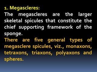 1. Megascleres:
The megascleres are the larger
skeletal spicules that constitute the
chief supporting framework of the
sponge.
There are five general types of
megasclere spicules, viz., monaxons,
tetraxons, triaxons, polyaxons and
spheres.
 