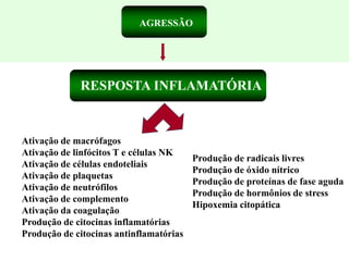 RESPOSTA INFLAMATÓRIA
Produção de radicais livres
Produção de óxido nítrico
Produção de proteínas de fase aguda
Produção de hormônios de stress
Hipoxemia citopática
Ativação de macrófagos
Ativação de linfócitos T e células NK
Ativação de células endoteliais
Ativação de plaquetas
Ativação de neutrófilos
Ativação de complemento
Ativação da coagulação
Produção de citocinas inflamatórias
Produção de citocinas antinflamatórias
AGRESSÃO
 