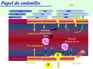 Papel do endotélio
ativado
normal
ICAM-1
E-selectina
PECAM-1
VCAM-1
endotelina
Elastase
Radicas livres
Pro-coagulação
NO
NO
citocinas,
Quemocinas
PAF
 