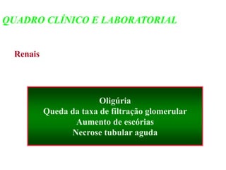 Renais
Oligúria
Queda da taxa de filtração glomerular
Aumento de escórias
Necrose tubular aguda
QUADRO CLÍNICO E LABORATORIAL
 