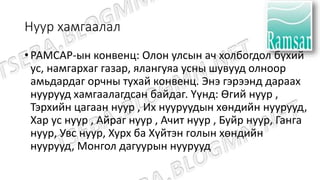 Нуур хамгаалал
• РАМСАР-ын конвенц: Олон улсын ач холбогдол бүхий
ус, намгархаг газар, ялангуяа усны шувууд олноор
амьдардаг орчны тухай конвенц. Энэ гэрээнд дараах
нуурууд хамгаалагдсан байдаг. Үүнд: Өгий нуур ,
Тэрхийн цагаан нуур , Их нууруудын хөндийн нуурууд,
Хар ус нуур , Айраг нуур , Ачит нуур , Буйр нуур, Ганга
нуур, Увс нуур, Хурх ба Хүйтэн голын хөндийн
нуурууд, Монгол дагуурын нуурууд
 