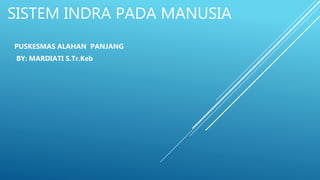 SISTEM INDRA PADA MANUSIA
PUSKESMAS ALAHAN PANJANG
BY: MARDIATI S.Tr.Keb
 