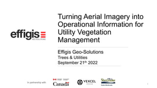 Turning Aerial Imagery into
Operational Information for
Utility Vegetation
Management
Effigis Geo-Solutions
Trees & Utilities
September 21th 2022
1
In partnership with
 