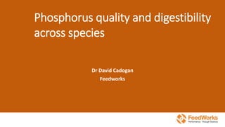 Phosphorus quality and digestibility
across species
Dr David Cadogan
Feedworks
 