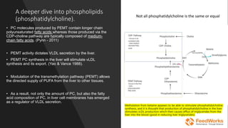 8. methyl donors and methylation MM 060422 TW V1.pptx