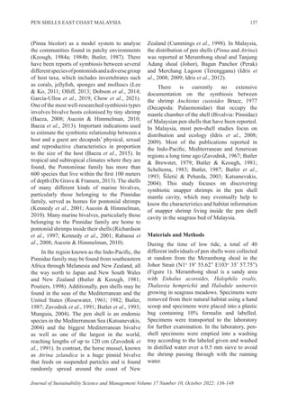 Symbiotically snapper shrimp Anchistus custoides Bruce, 1977 (Decapoda ...