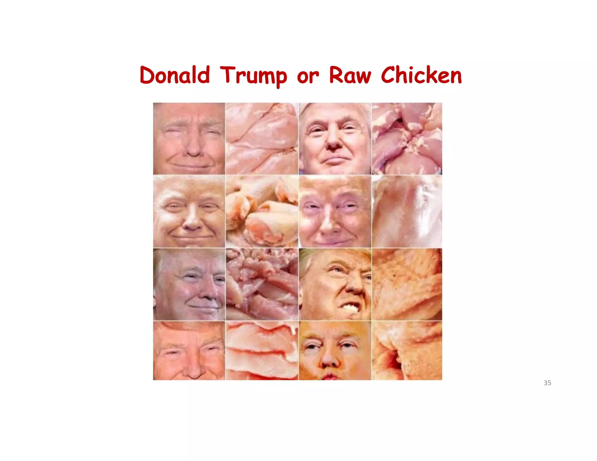 Donald Trump or Raw Chicken
35
 