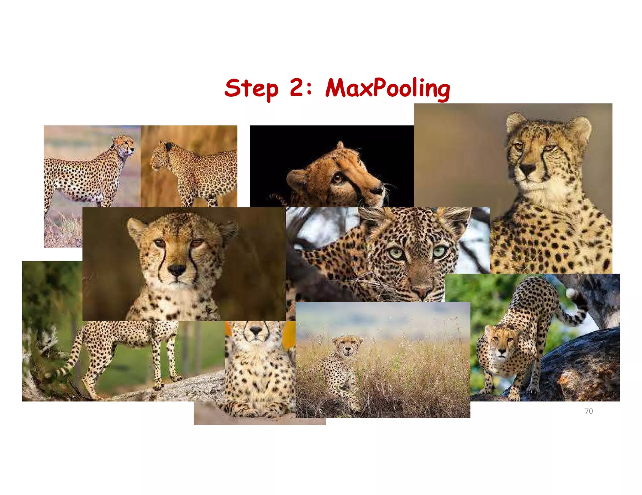 Step 2: MaxPooling
70
 