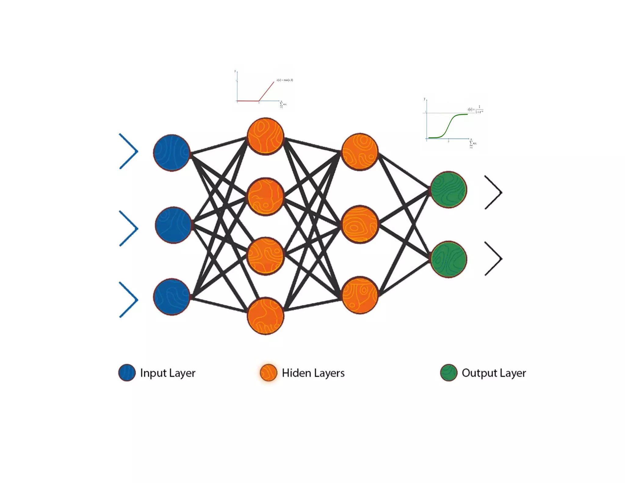 Types of Activation Functions
 